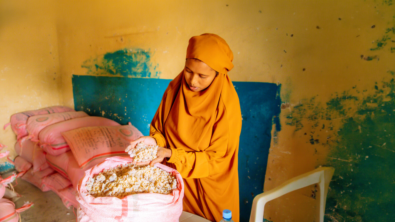 Frankincense factory workers in Somaliland