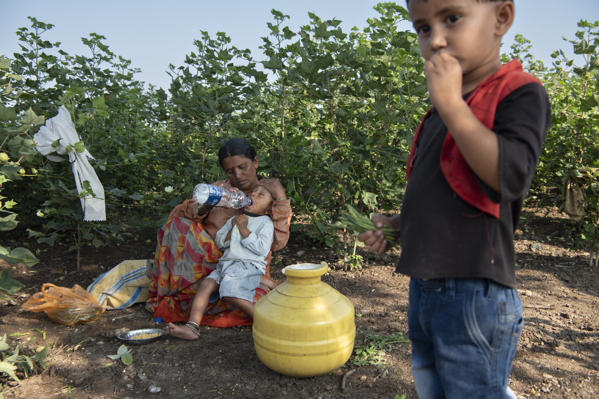 Global Repercussions of Exploitation in Sugar Farms